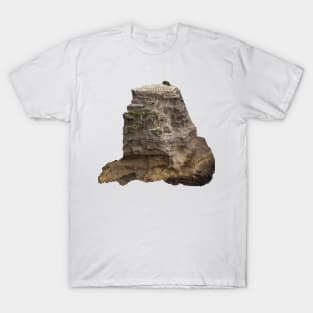 Ocean view over bird sanctuary T-Shirt